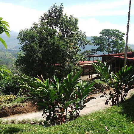 Green Mountain And Lodge Turrialba Exteriör bild