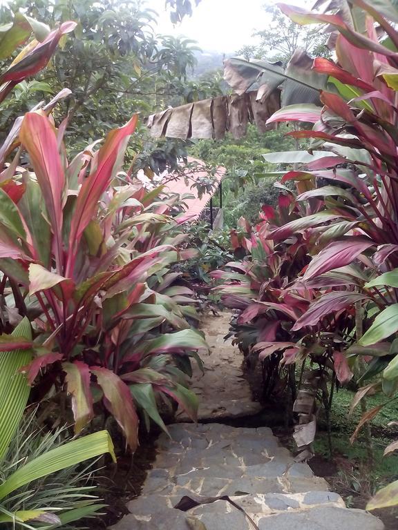 Green Mountain And Lodge Turrialba Exteriör bild