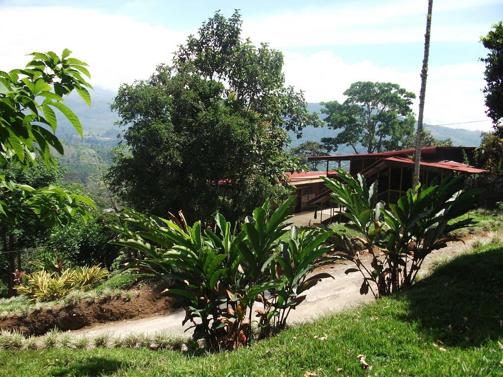 Green Mountain And Lodge Turrialba Exteriör bild