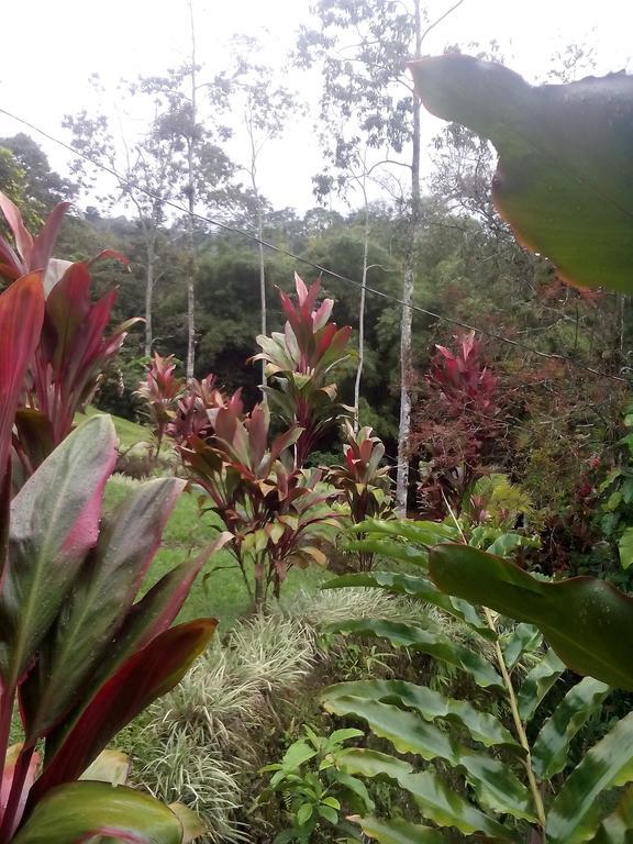 Green Mountain And Lodge Turrialba Rum bild
