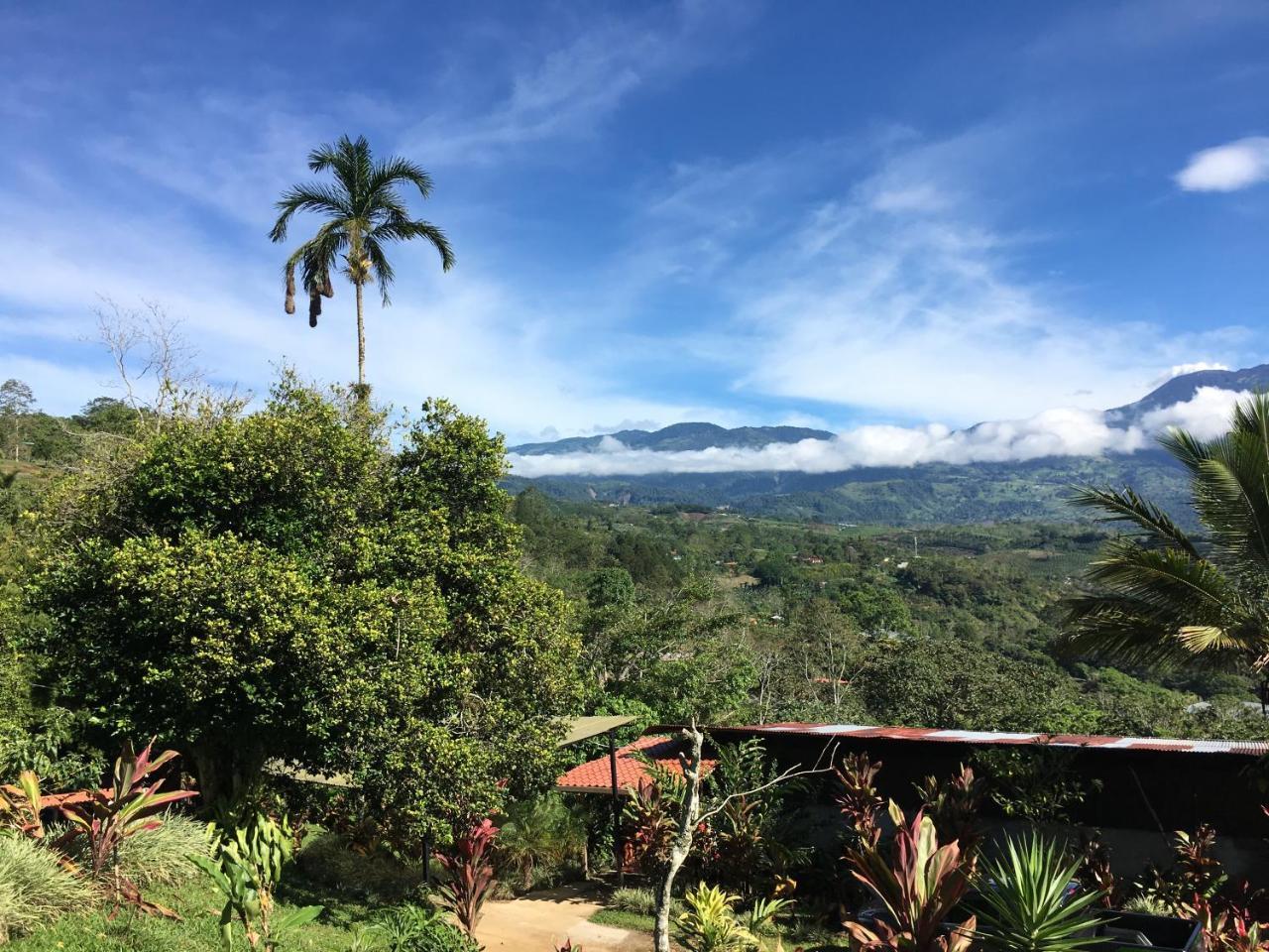 Green Mountain And Lodge Turrialba Exteriör bild