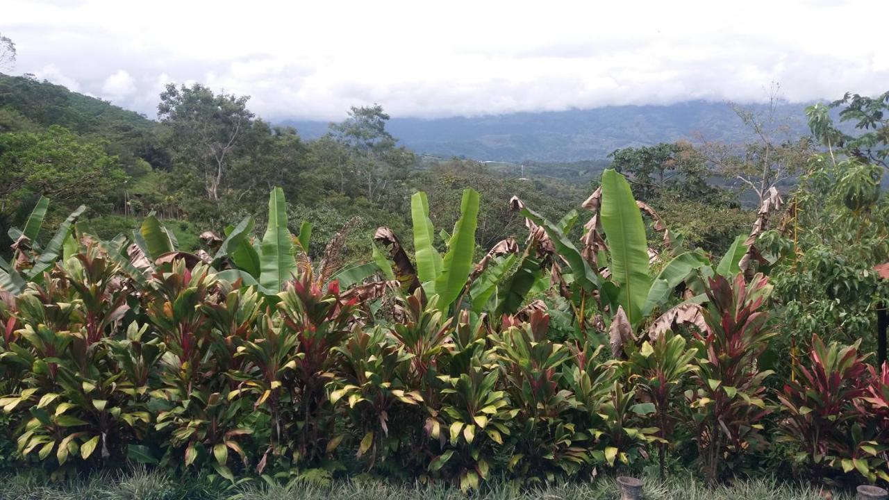 Green Mountain And Lodge Turrialba Exteriör bild
