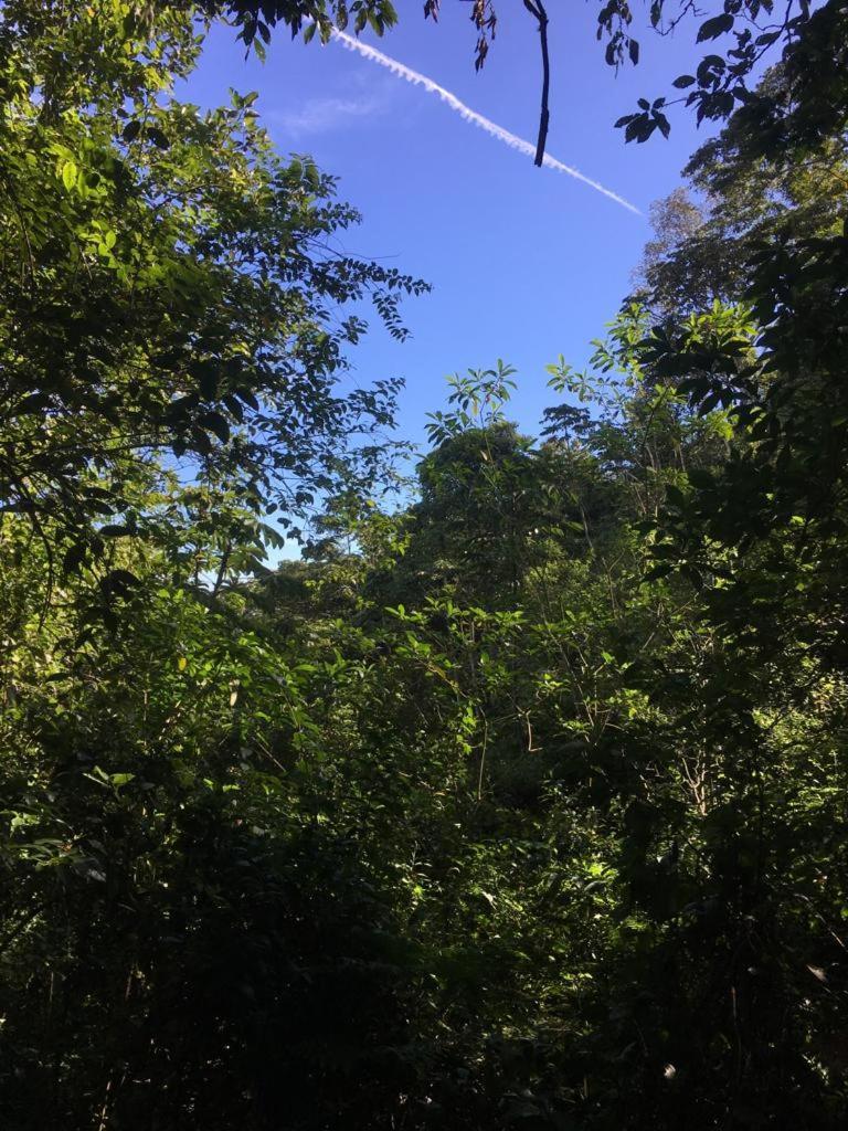 Green Mountain And Lodge Turrialba Exteriör bild