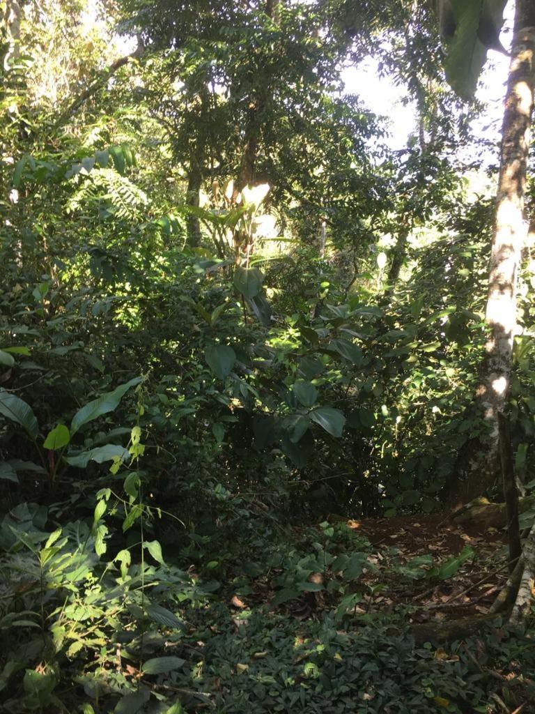 Green Mountain And Lodge Turrialba Exteriör bild